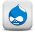 drupal Web developer